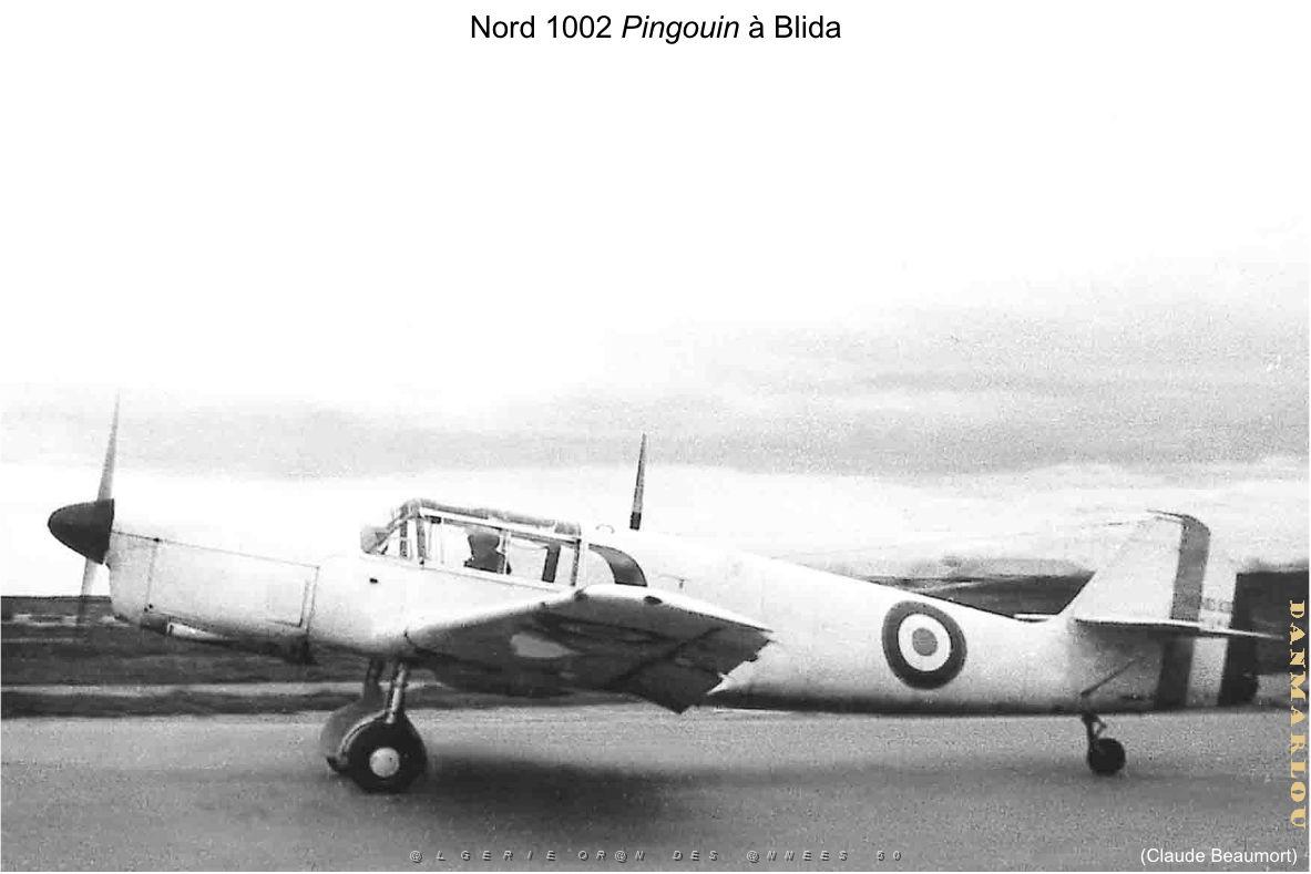 167- ARMEE DE L'AIR EN ALGERIE 1945-1962-15 (44).jpg